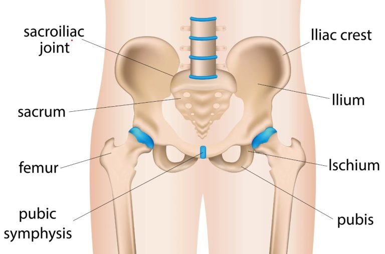 Why Taking Care Of Your Hip Is Important? | Avant Orthopaedic